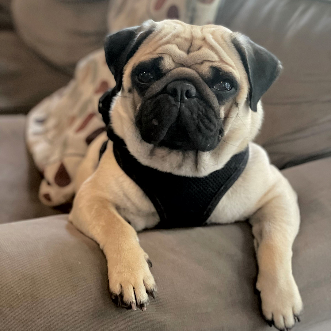 George_1080x1080 George_1080x1080