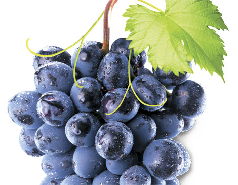Grapes Grapes