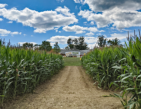 Lake Metroparks Farmpark Corn Maze