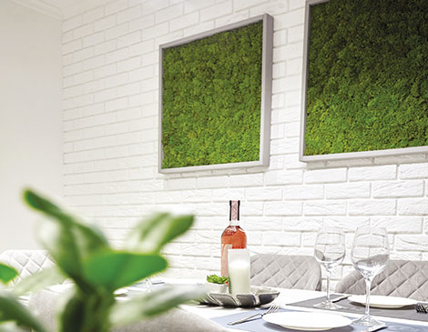 Moss Wall Moss Wall