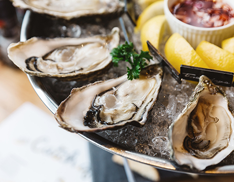 Oysters Oysters