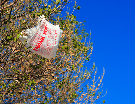 Plastic Bag Ban Plastic Bag Ban