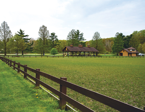 Polo Field