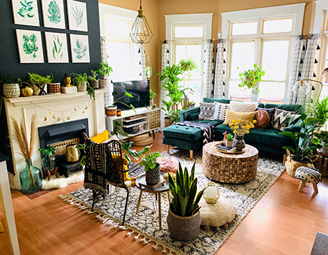 Shawn Outley's use of house plants, fun colors and patterns show how you can inject some personality into your space. Shawn Outley's use of house plants, fun colors and patterns show how you can inject some personality into your space.