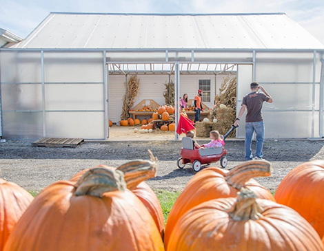 Sirna's Farms