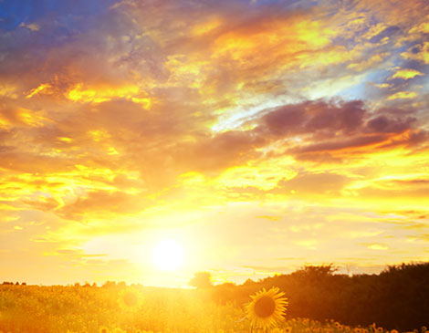 Solstice Solstice