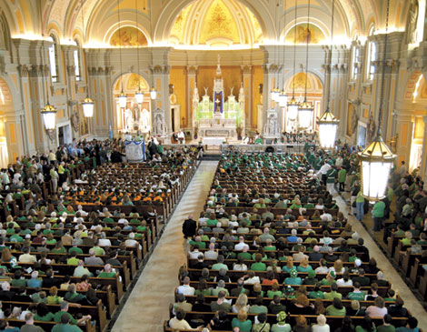 St. Colmans St. Colmans