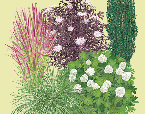 The multipurpose plants add beauty (and maybe value) to your property.