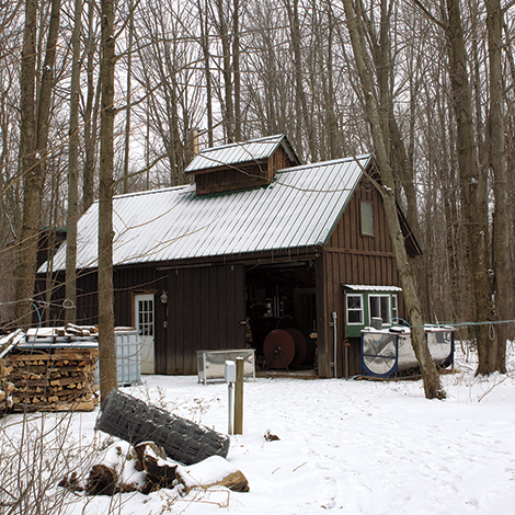 Tom Salo Maple Syrup