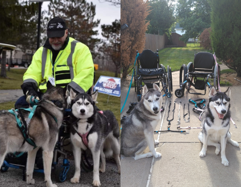 Don Wheeler, Wheelchair Mushing Don Wheeler, Wheelchair Mushing