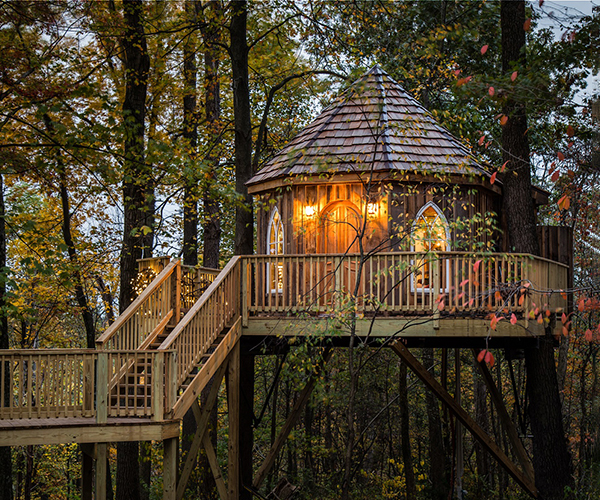 Mohicans Treehouses Mohicans Treehouses