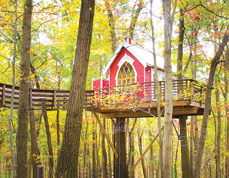 Mohicans Treehouses