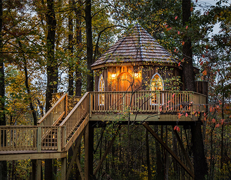 Mohicans Treehouses Mohicans Treehouses