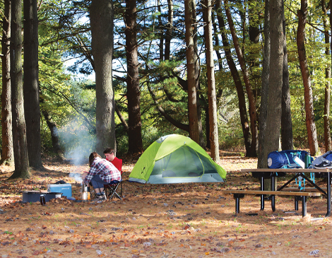 470x365_Article-5-1 Tent and campers in the woods