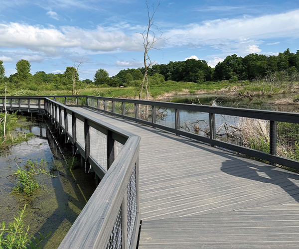 Boardwalk over water
