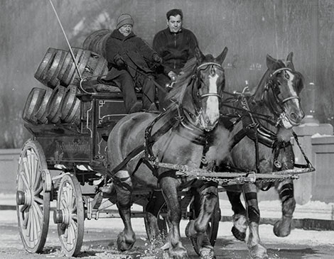 Standard Brewing Co._Beer Horses_1940s_tire rationing_Cleveland_horse-drawn carriage deliveries