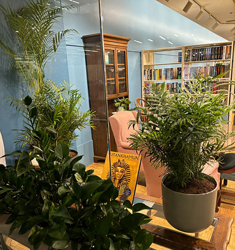 Browsing Room Bookstore Cleveland