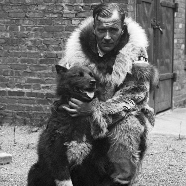 Balto - Courtesy Cleveland Memory Project, via Wikimedia Commons