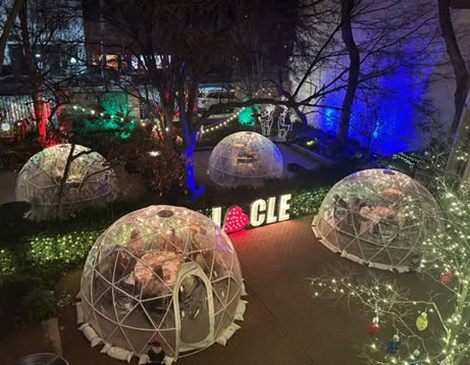 Georgetown Vosh Igloos