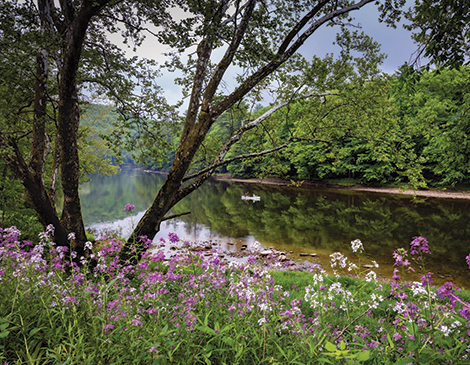 Pennsylvania_New York_Road Trips from Cleveland_Vacations from Ohio_beautiful parks and places to stay away from home Pennsylvania_New York_Road Trips from Cleveland_Vacations from Ohio_beautiful parks and places to stay away from home