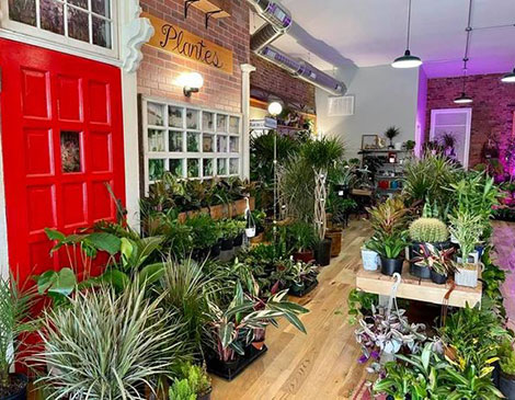 Recreational Pots and Plants - courtesy Lori Switaj