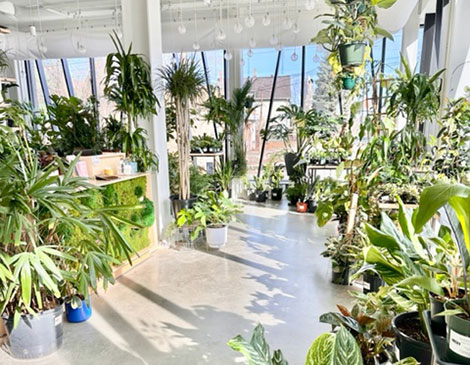 Urban Planting Cle Urban Planting Cle