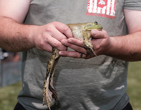 Valley City Hosts Annual Frog Jump Event, Matthew Chesney