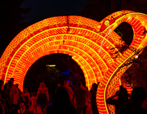 Asian Lantern Festival Cleveland Zoo
