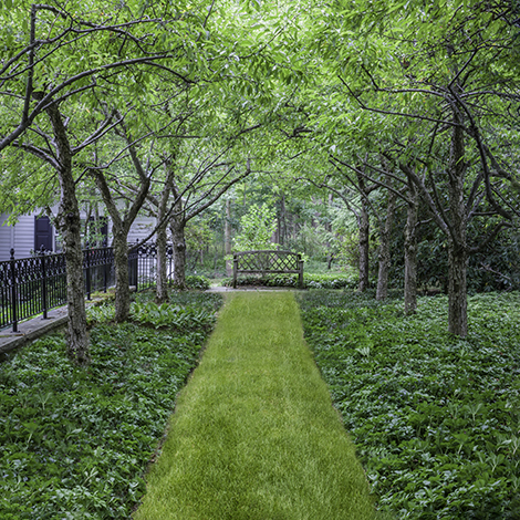 Lawn Allee, William Rogers