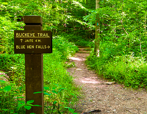 Buckeye Trail Head