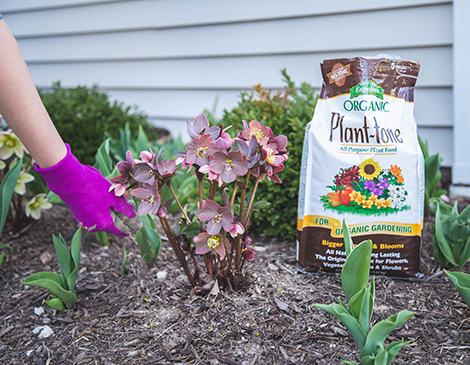Cleveland's Best Suburbs Places to live 2023 oakwood petitti's garden center Cleveland's Best Suburbs Places to live 2023 oakwood petitti's garden center