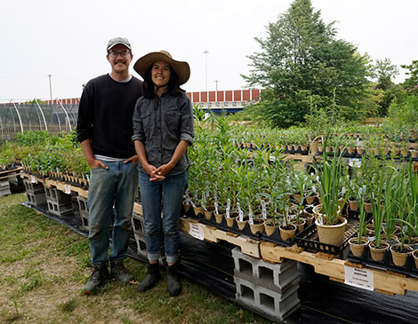 Julie Slater and Dave Tomashefski, Meadow City Native Plant Nursery Julie Slater and Dave Tomashefski, Meadow City Native Plant Nursery