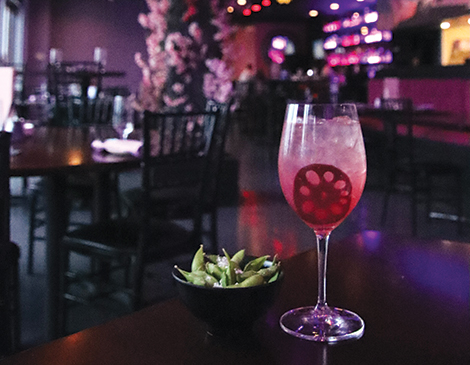 dining guide_cleveland_northeast Ohio_restaurants with gorgeous_stunning decor_atmosphere_sora_sushi places_cool