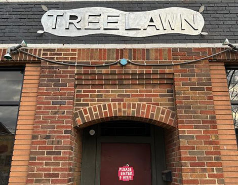 The Treelawn The Treelawn