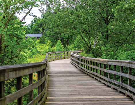mh-feature-article wooden bridge through woods