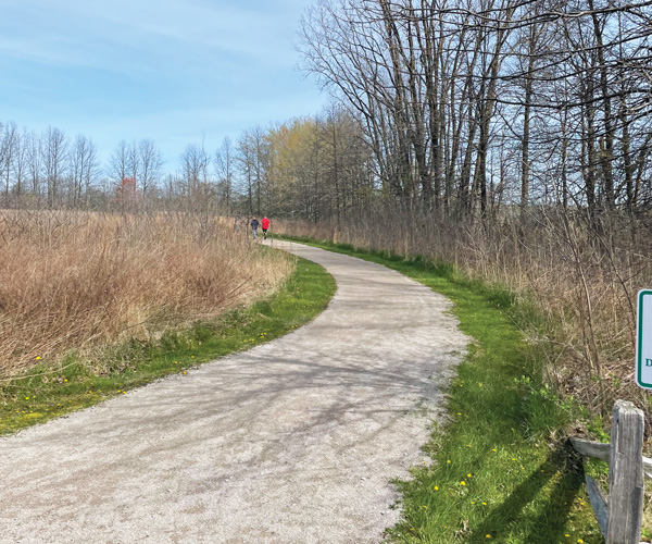 Two people walking down a winding path