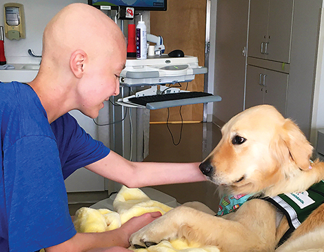 Dog at Cleveland Clinic cancer Dog at Cleveland Clinic cancer