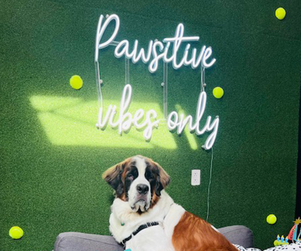 Luca's Barkery pet bakery and pet supply store