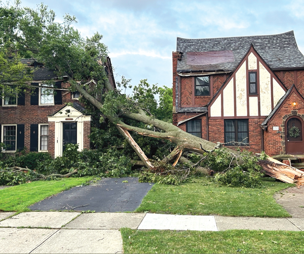 A tree fallen into a house following the tornado in Rocky River