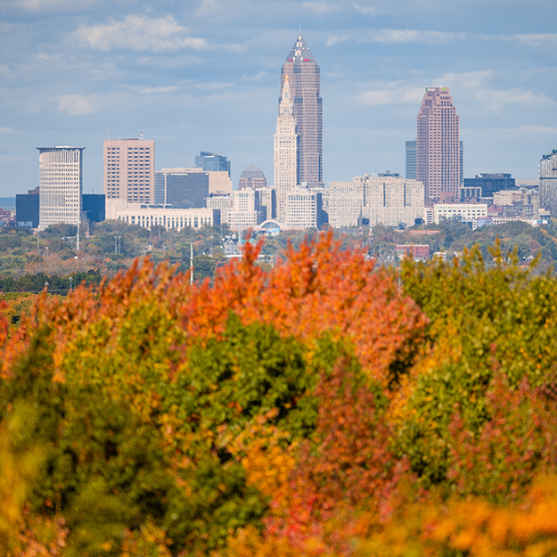 Fall Leaves Downtown Cleveland by Erik Drost
