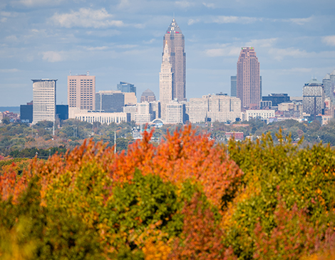 Fall leaves Downtown Cleveland Fall leaves Downtown Cleveland
