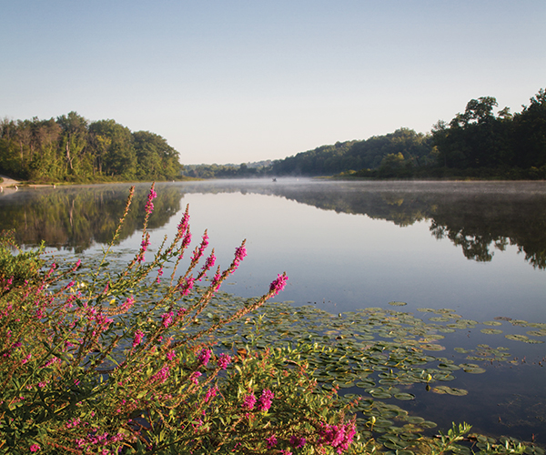 5 Unique Campsites to Visit in Northeast Ohio 5 Unique Campsites to Visit in Northeast Ohio