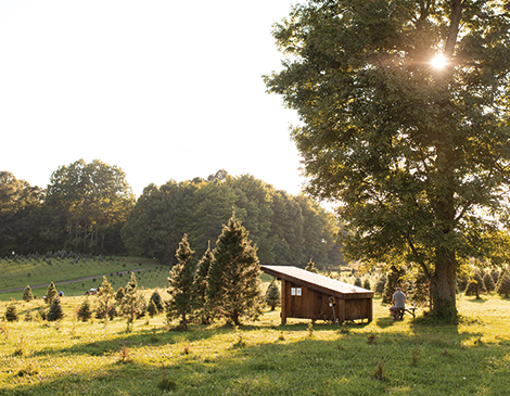 5 Unique Campsites to Visit in Northeast Ohio