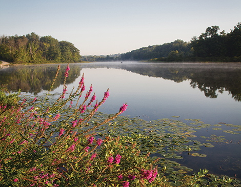 5 Unique Campsites to Visit in Northeast Ohio 5 Unique Campsites to Visit in Northeast Ohio