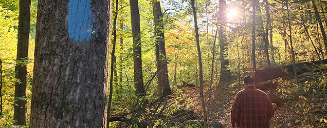 Backpacking Ohio's 1,444-Mile-Long Buckeye Trail Backpacking Ohio's 1,444-Mile-Long Buckeye Trail