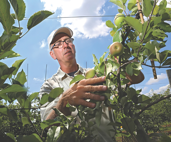 Dodd's Hillcrest Orchards