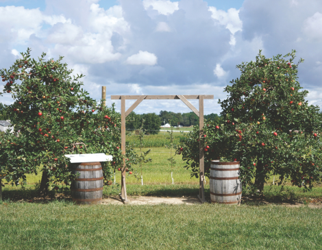 Dodd's Hillcrest Orchards