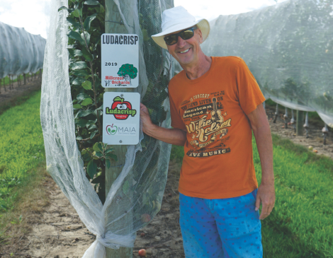 Dodd's Hillcrest Orchards