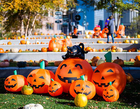 Halloween in Northeast Ohio Halloween in Northeast Ohio